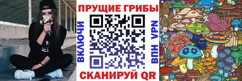 МЕГА зеркало  Артёмовский  Псилоцибиновые грибы мицелий 